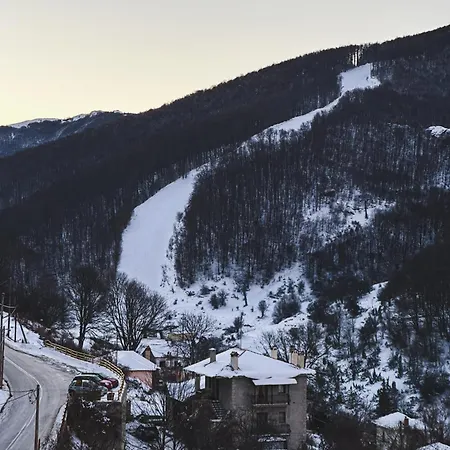 “white Mountain”, * Vígla Pissodéri