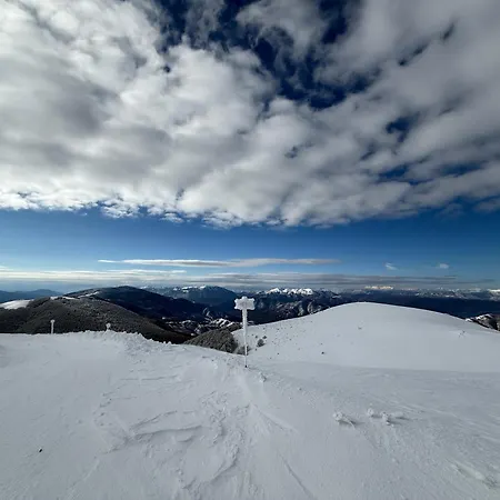 “white Mountain”, *