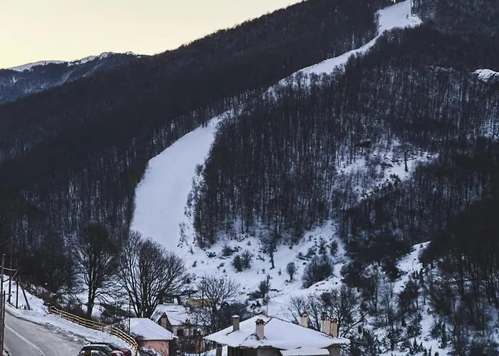 “white Mountain”, * Pisoderi