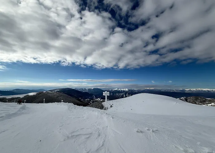 “white Mountain”, *